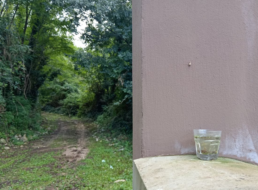 Čaša ostavljena na zidiću groblja 