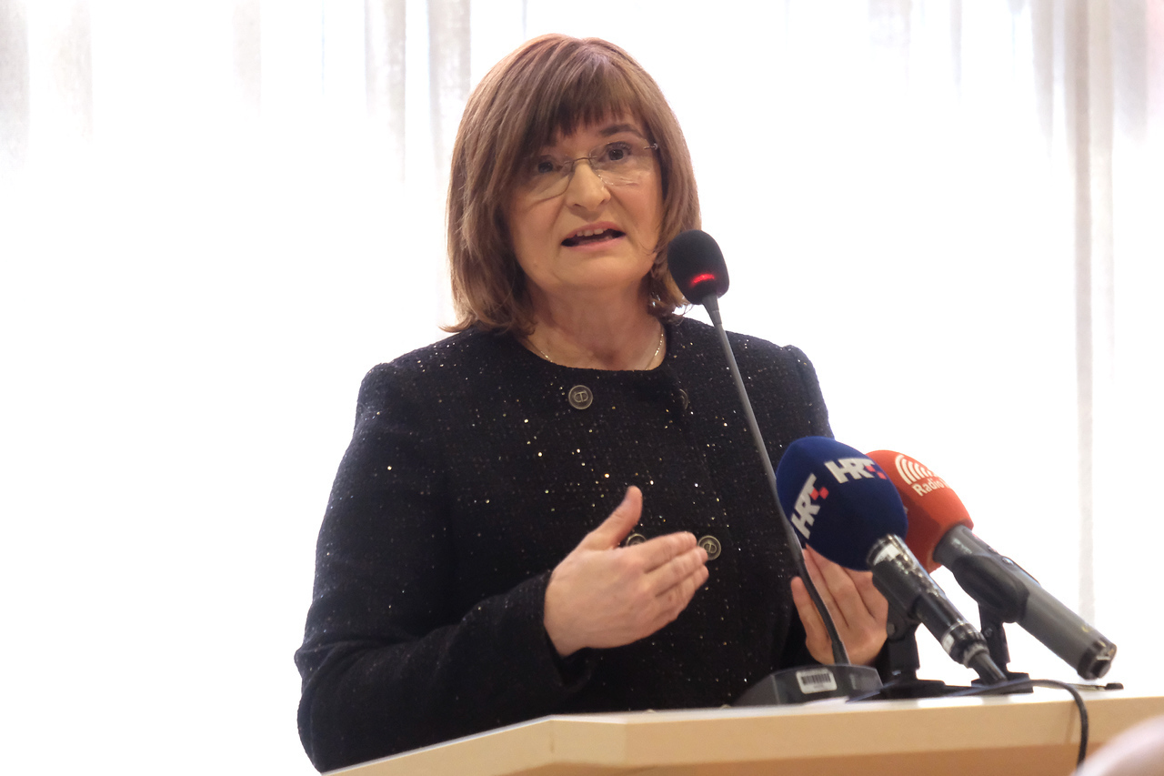 dr. Gordana Antić, zamjenica istarskog župana