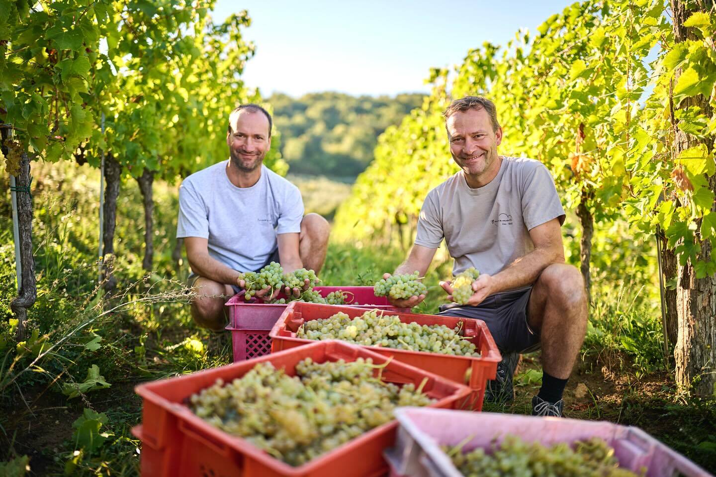 Benvenuti vina: Malvazija pokazala iznimnu kvalitetu (Foto: Facebook/Benvenuti vina)