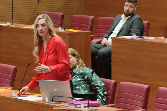 Sanja Radolović upozorila na pravu pošast na prometnicama. 'Italija je već poduzela korake'