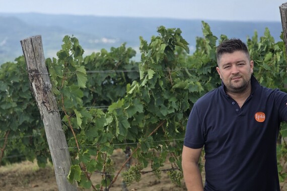 TasteAtlas objavio popis 100 najboljih maslinovih ulja na svijetu. Unutra su i četiri iz Istre, a evo i nekih cijena