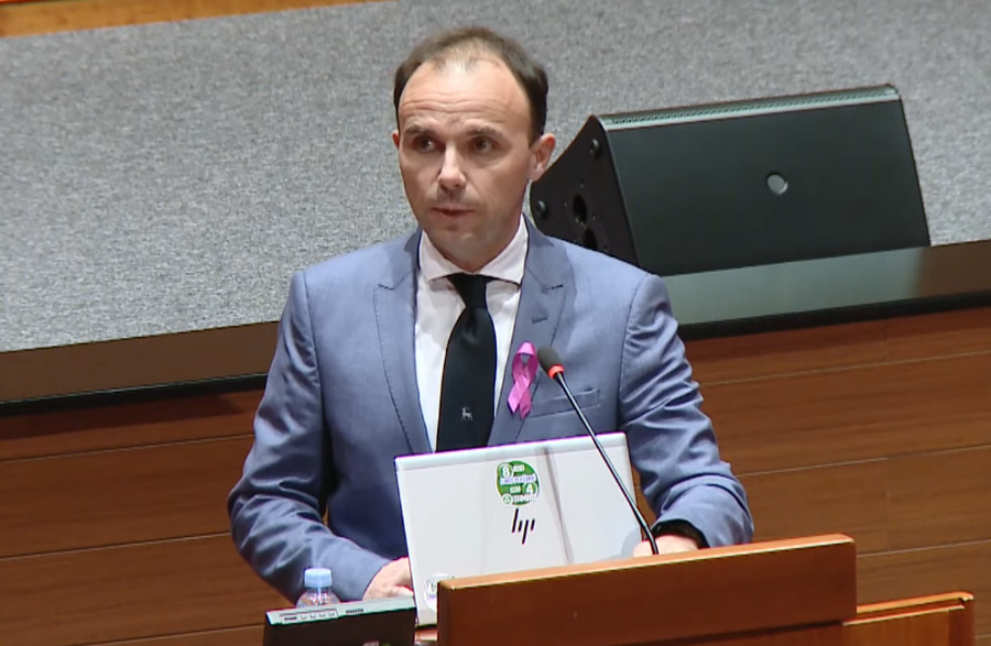 Loris Peršurić u Saboru