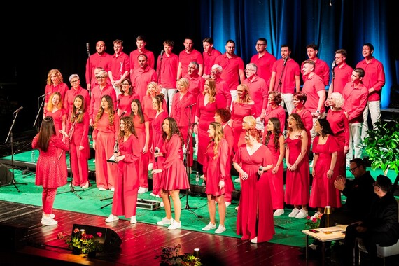 Veliki humanitarni koncert u Pazinu idućeg petka