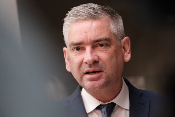 Miletić: ‘Istarska županija ne donosi proizvoljne odluke o rušenju stabala’