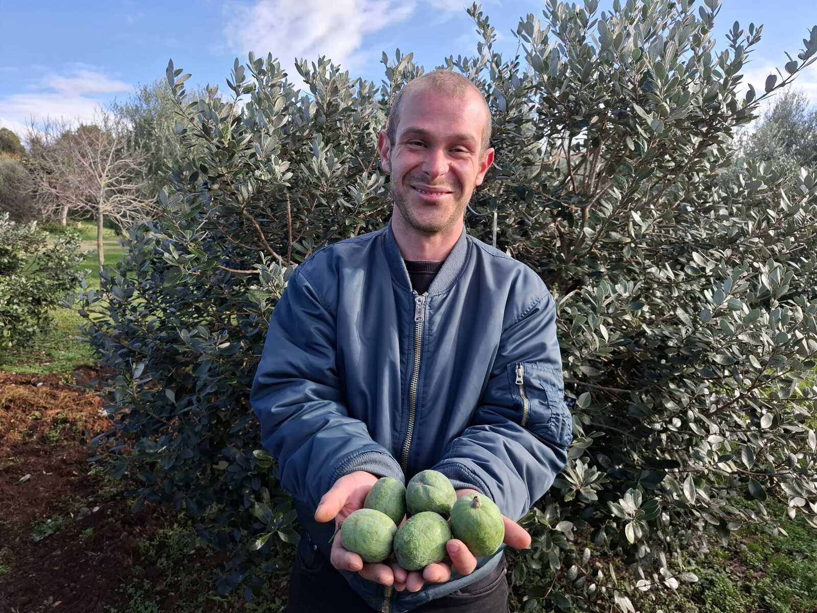 Fabio Flego s plodovima feijoe (Foto: Mirjana Vermezović Ivanović)