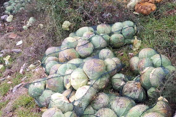 Netko je ispod ceste bacio vreće krumpira i kupusa. Zar ih nije mogao donirati?