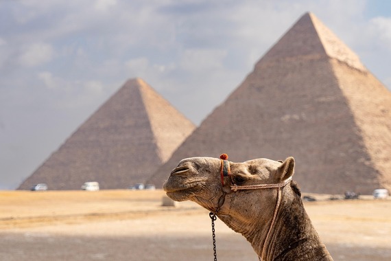 Sanjala egipatske piramide, platila mu sve 'na ruke', a onda se naglo 'probudila'... 