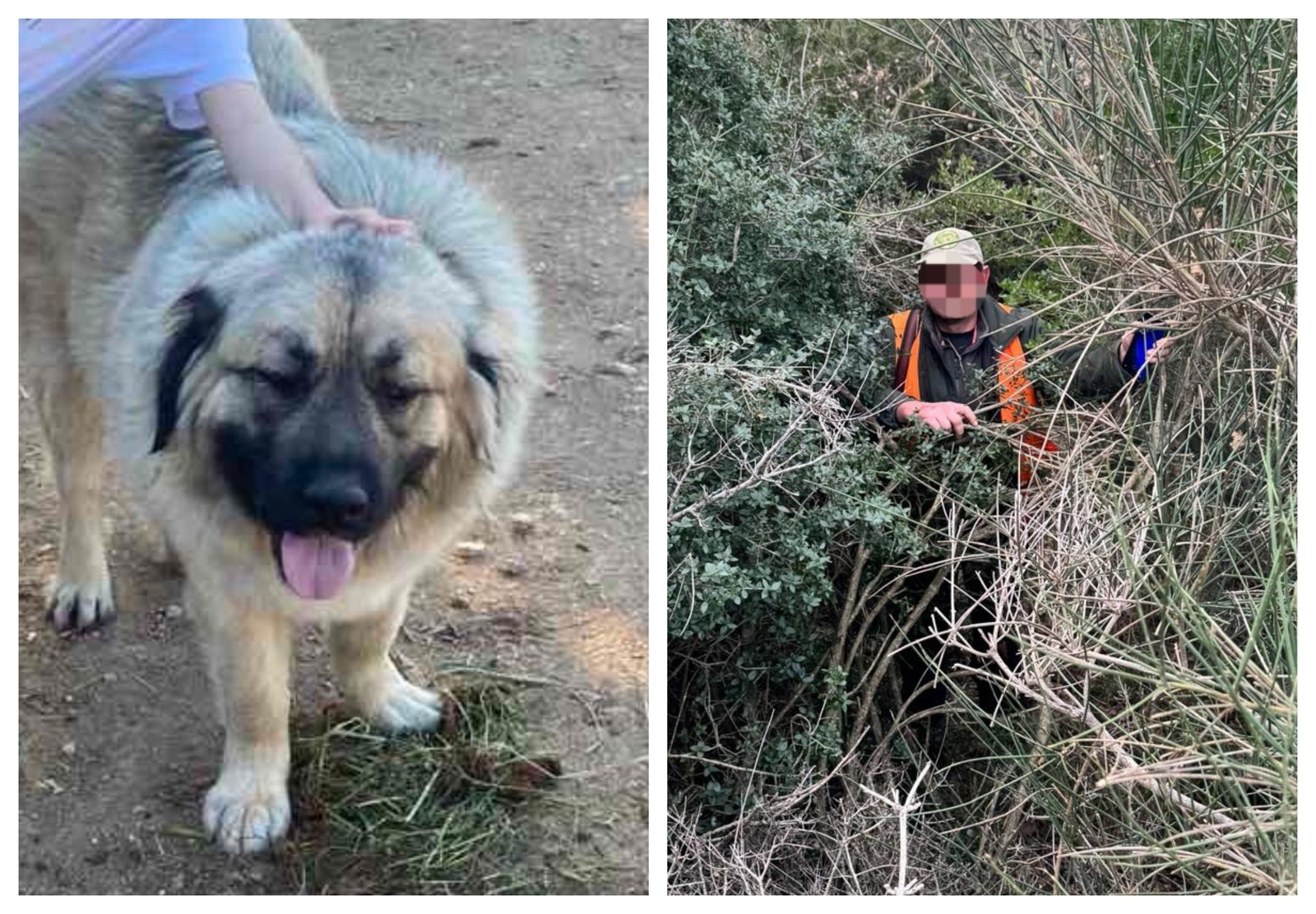 Kujica Bajka i lovac koji je zatečen na licu mjesta nakon nedjela