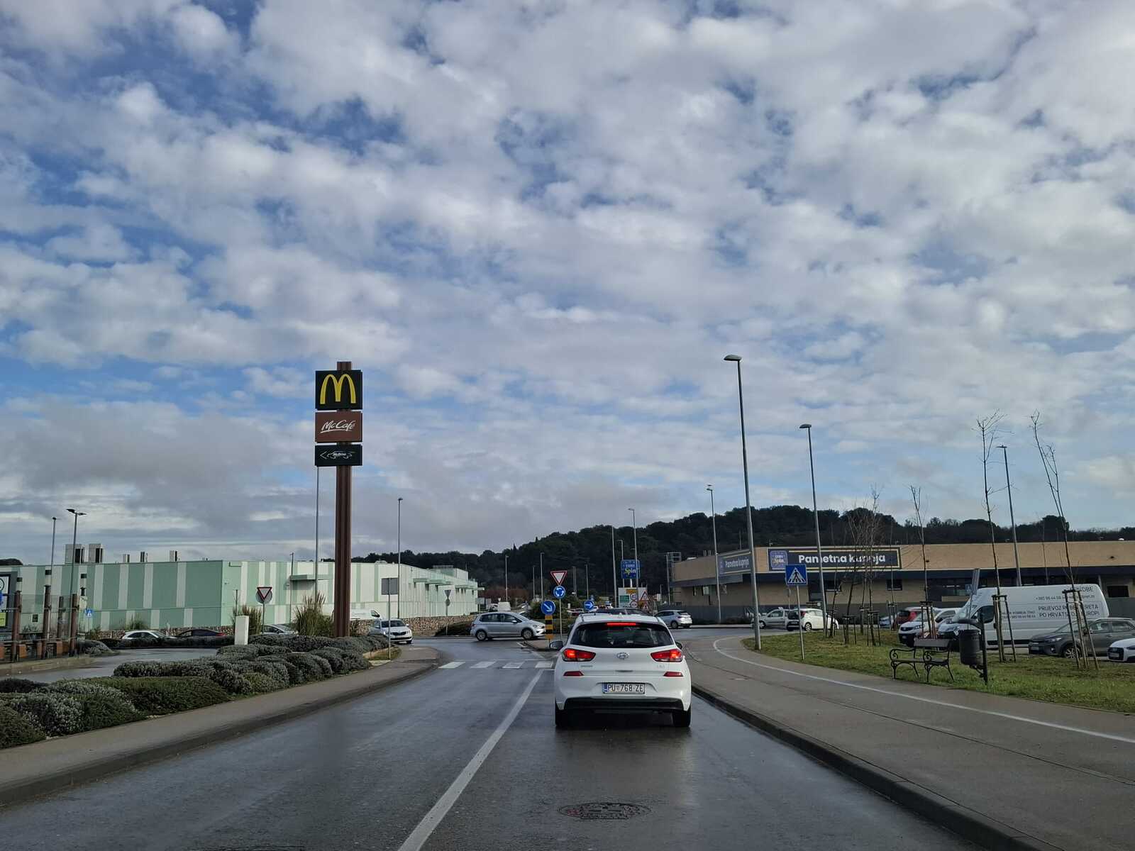 Krkljanac ljeti, krkljanac zimi (Foto: Mirjana Vermezović Ivanović)