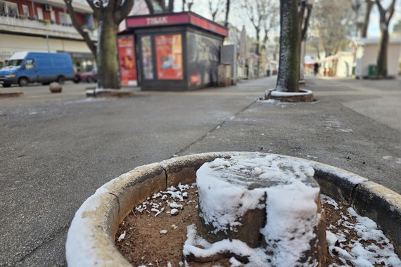 Pitali smo Puležane što je to tapija. Neki odgovori su urnebesni, a ima i doista sjajnih