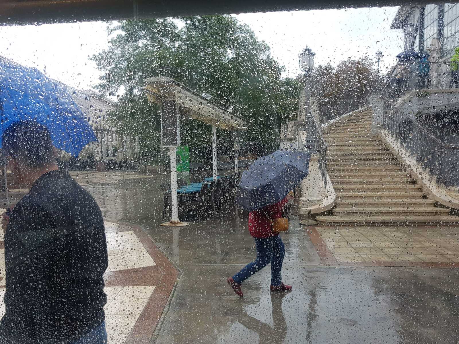 Foto: Mirjana Vermezović Ivanović