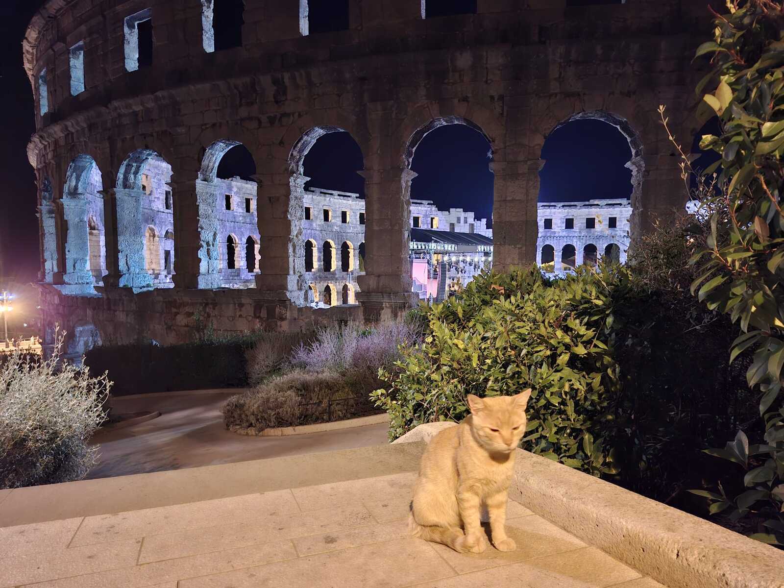 Foto: Mirjana Vermezović Ivanović