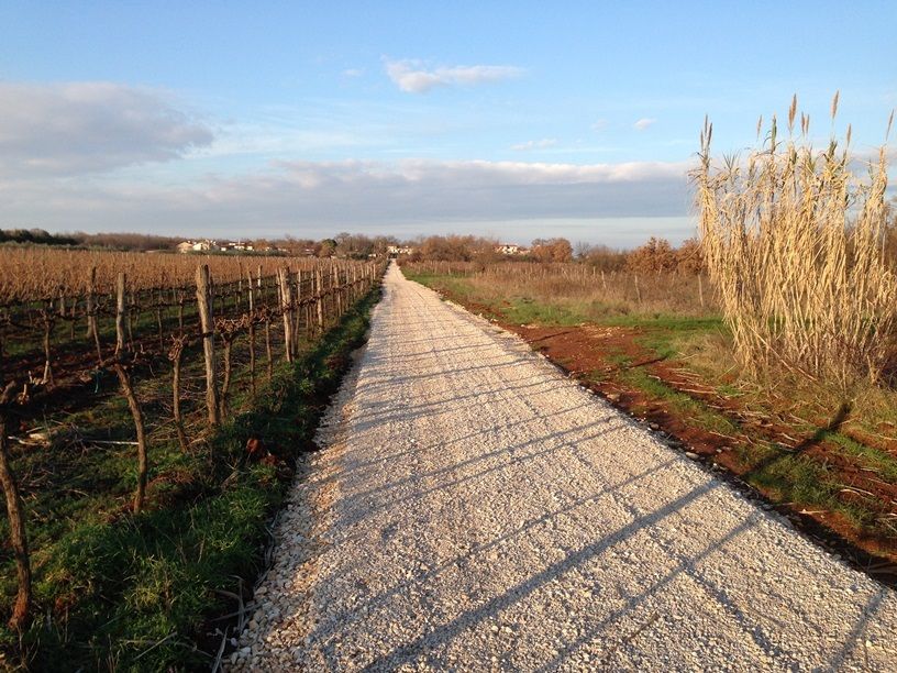 U početnom dijelu trasa prolazi kroz predjele uz vinograde, maslinike i šume