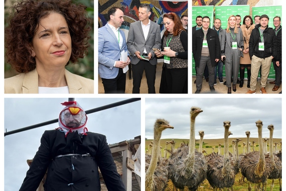 Pet crtica na kraju tjedna: Istra bi bez turizma bila Afrika, i to bez struje