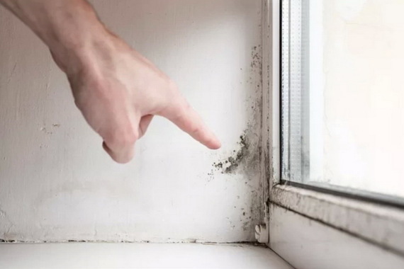 Kako je Livio iz Marčane uklonio vlagu i plijesan u svom domu i apartmanu