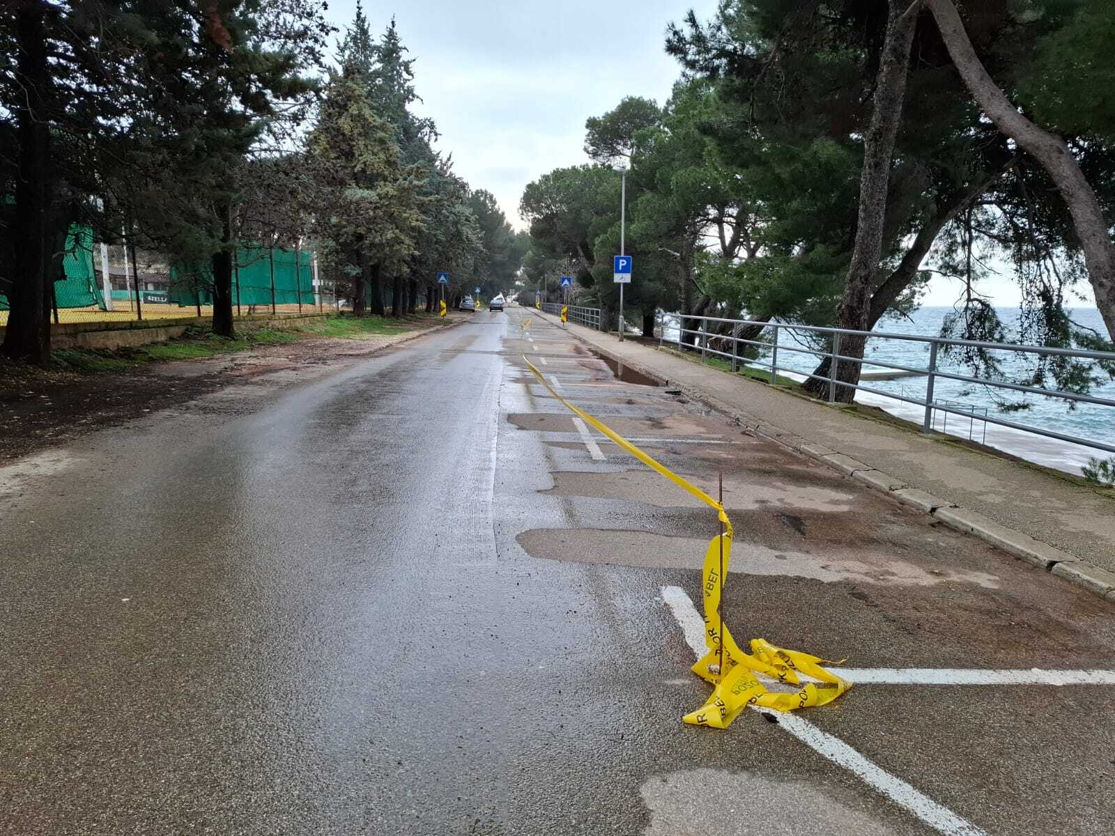 Foto: Mirjana Vermezović Ivanović