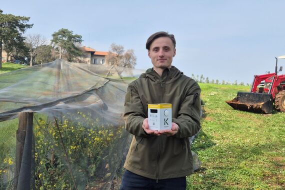 Na porečkom institutu uz pomoć bumbara uzgajaju otpornije sorte kupusa