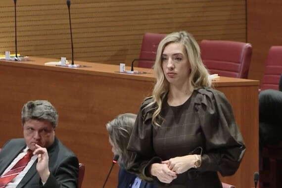 'Vlakovi u Trstu i Kopru jure 300 na sat, a mi iz Istre do Zagreba putujemo cijeli dan'