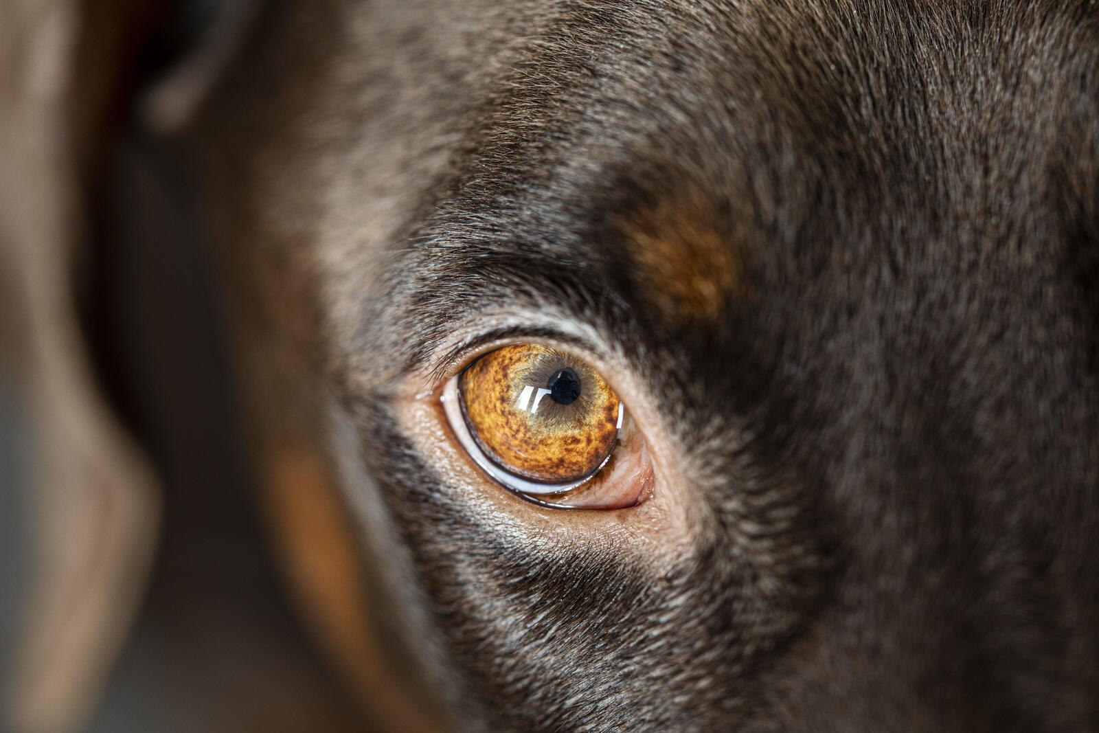 Ilustracija (foto: Pixabay)