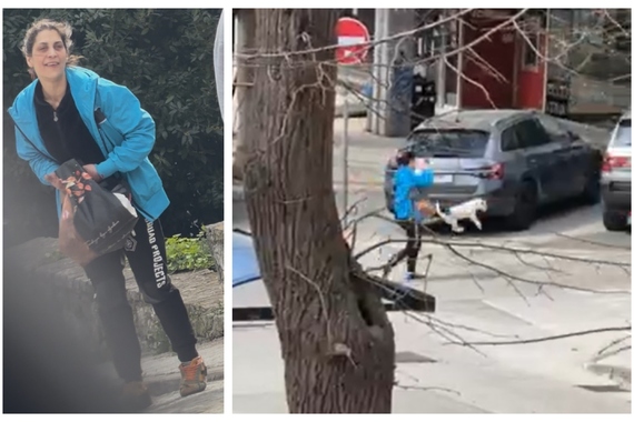 Žena u rastrojenom stanju bezdušno baca psa iz ruku, donosimo snimak
