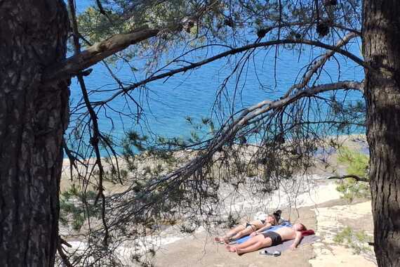 NEMA ZIME Puležani iz kaputa skočili ravno na plažu 