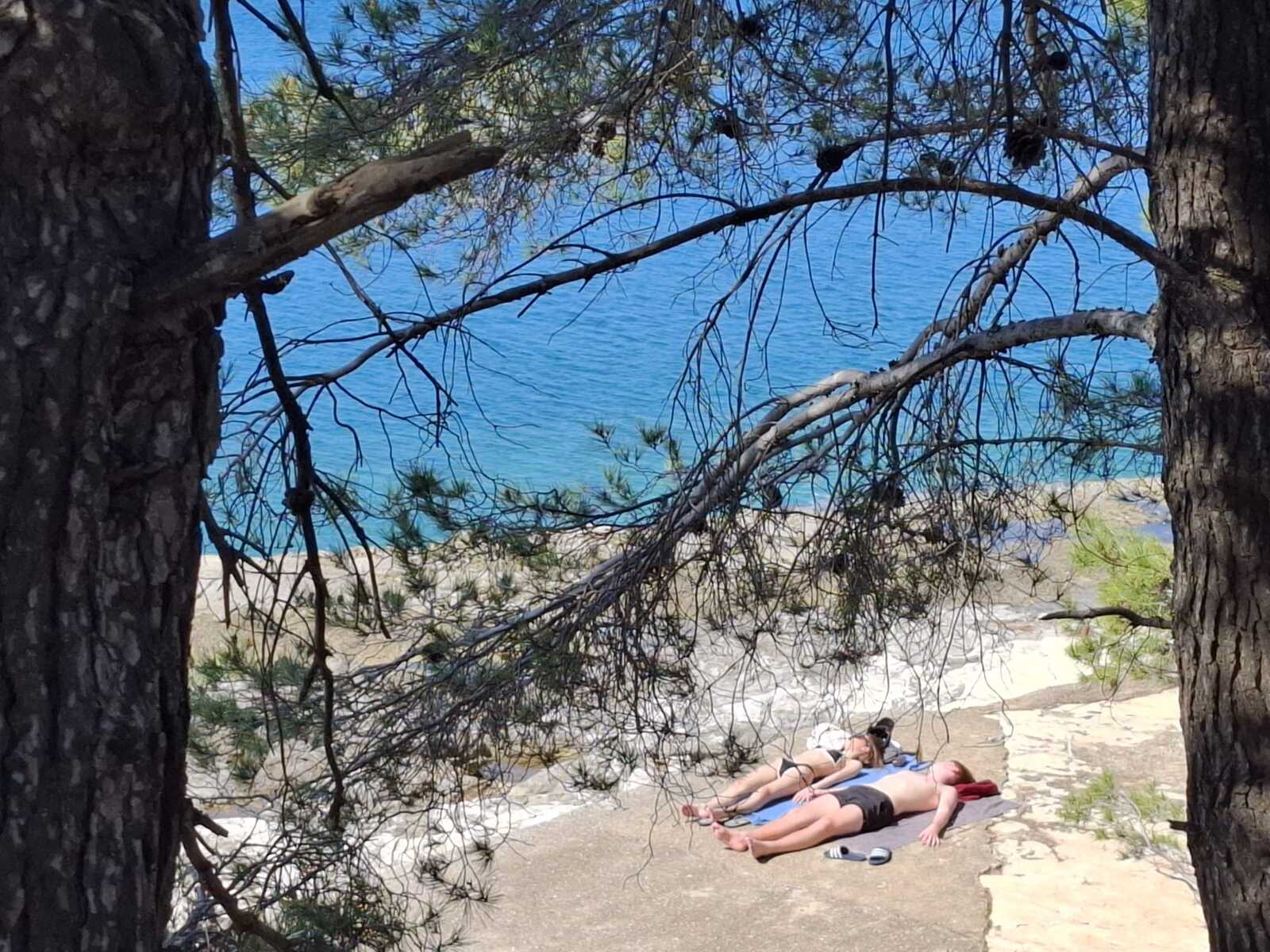 Foto: Mirjana Vermezović Ivanović