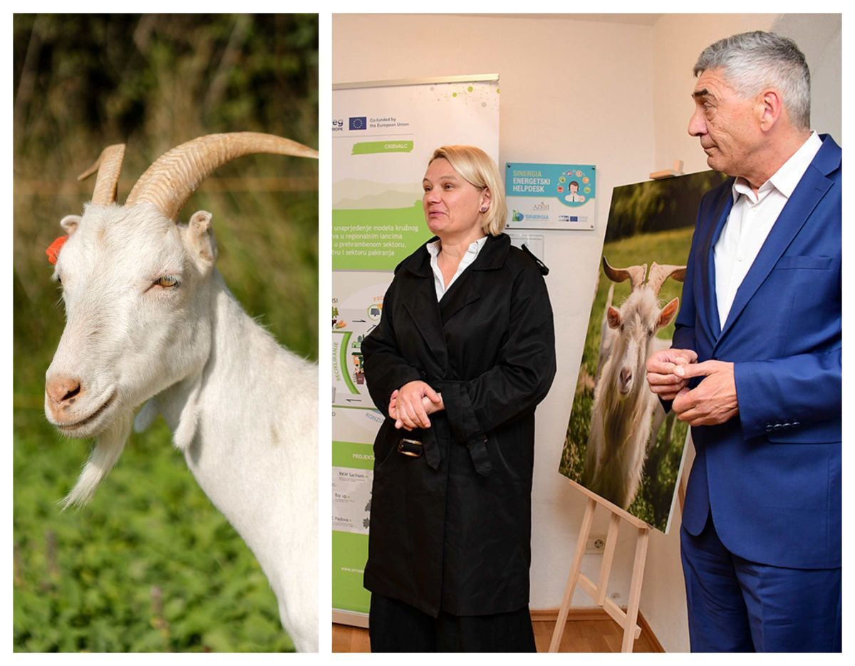 Suzana Jašić i Igor Merlić (Fotogalerija: Roberto Matković)