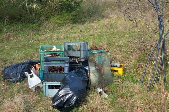 Nevjerojatno što se sve pronalazi po istarskim boškama