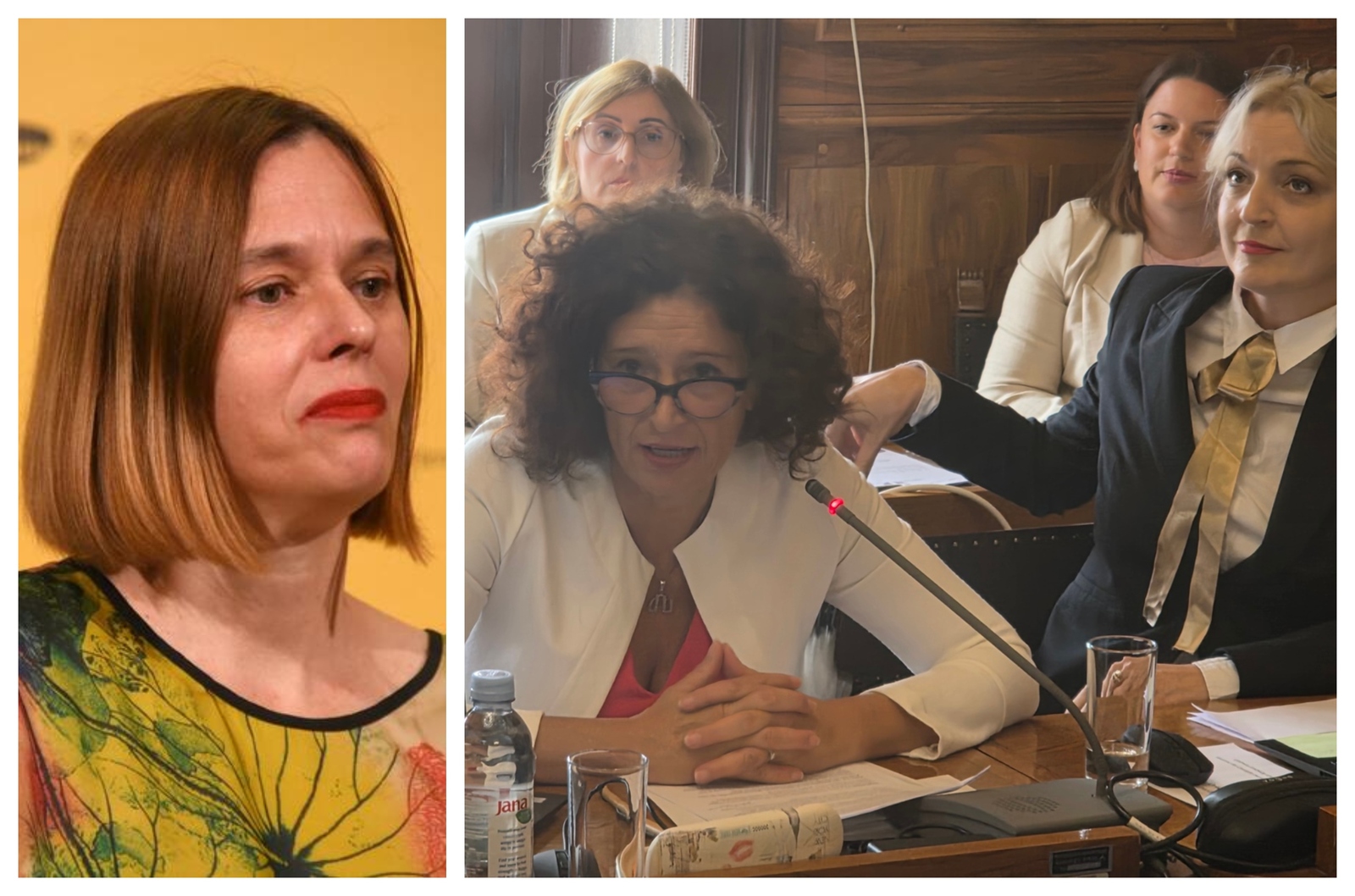 Tanja Miličić / Lorena Boljunčić i Paola Orlić