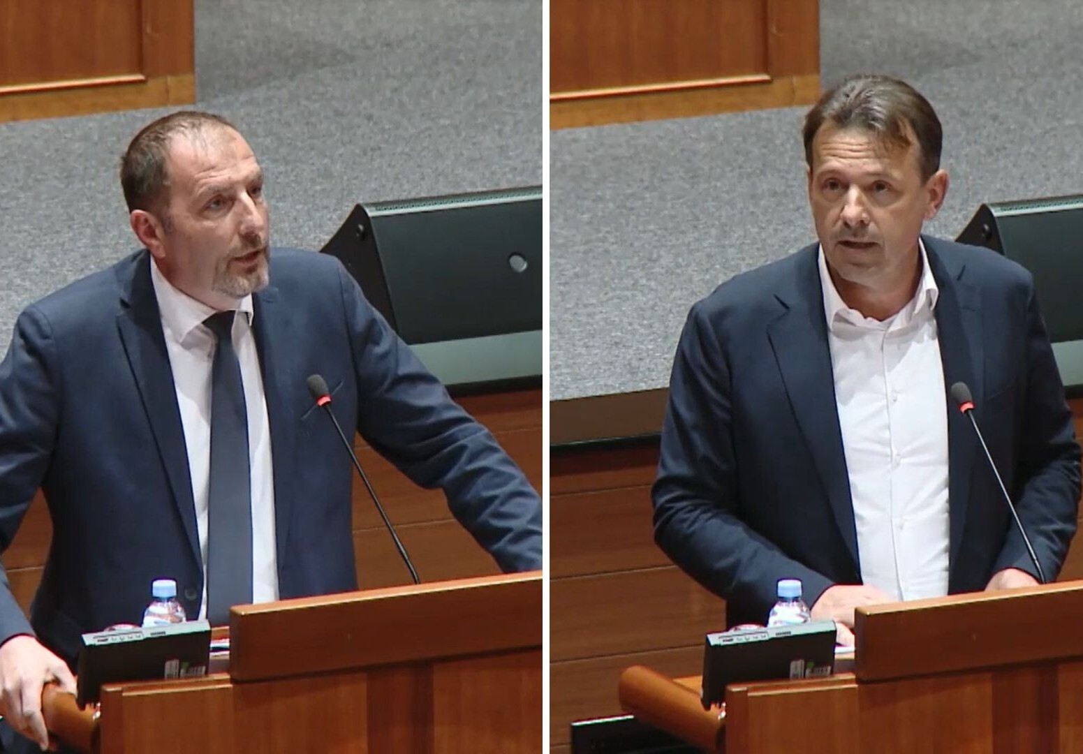 Dalibor Paus i Anteo Milos