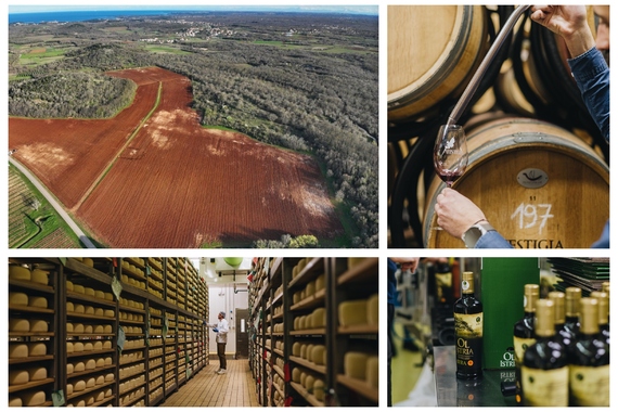 Agrolaguna ulaže milijune eura, podiže kvalitetu, modernizira vina, sadi stotine hektara novih vinograda i maslinika  