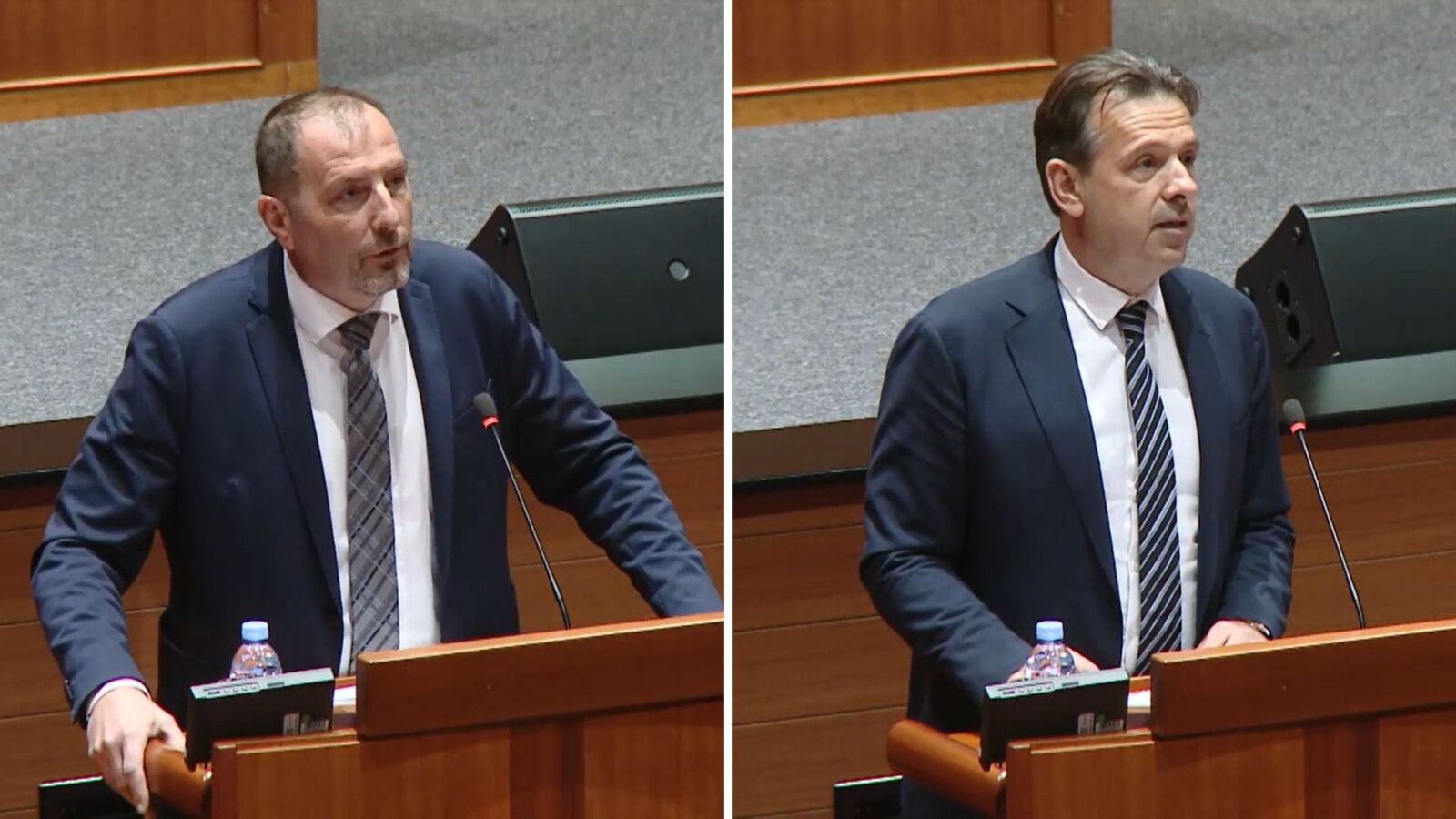 Dalibor Paus / Anteo Milos