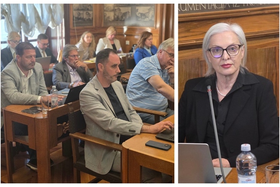 Radojčić nazvala Mihovilovića etički ravnodušnim, a Grbin involviranim. Za Boljunčića to je ‘rubno uvreda’