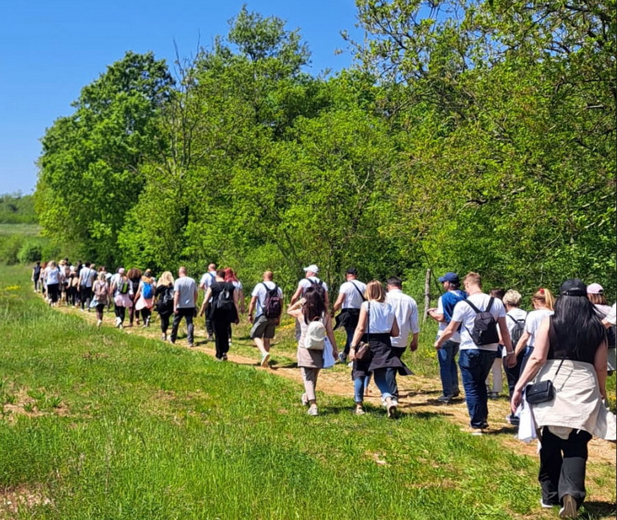 Viva Vino – Wine & Walk Vižinada