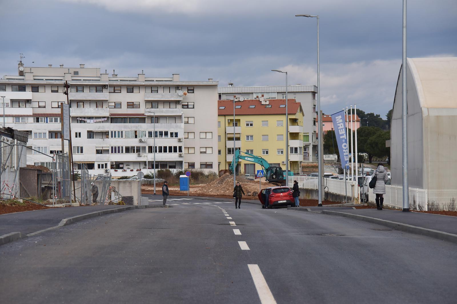 Kaštanjer, ilustracija (foto: Duško Marušić/Pixsell)