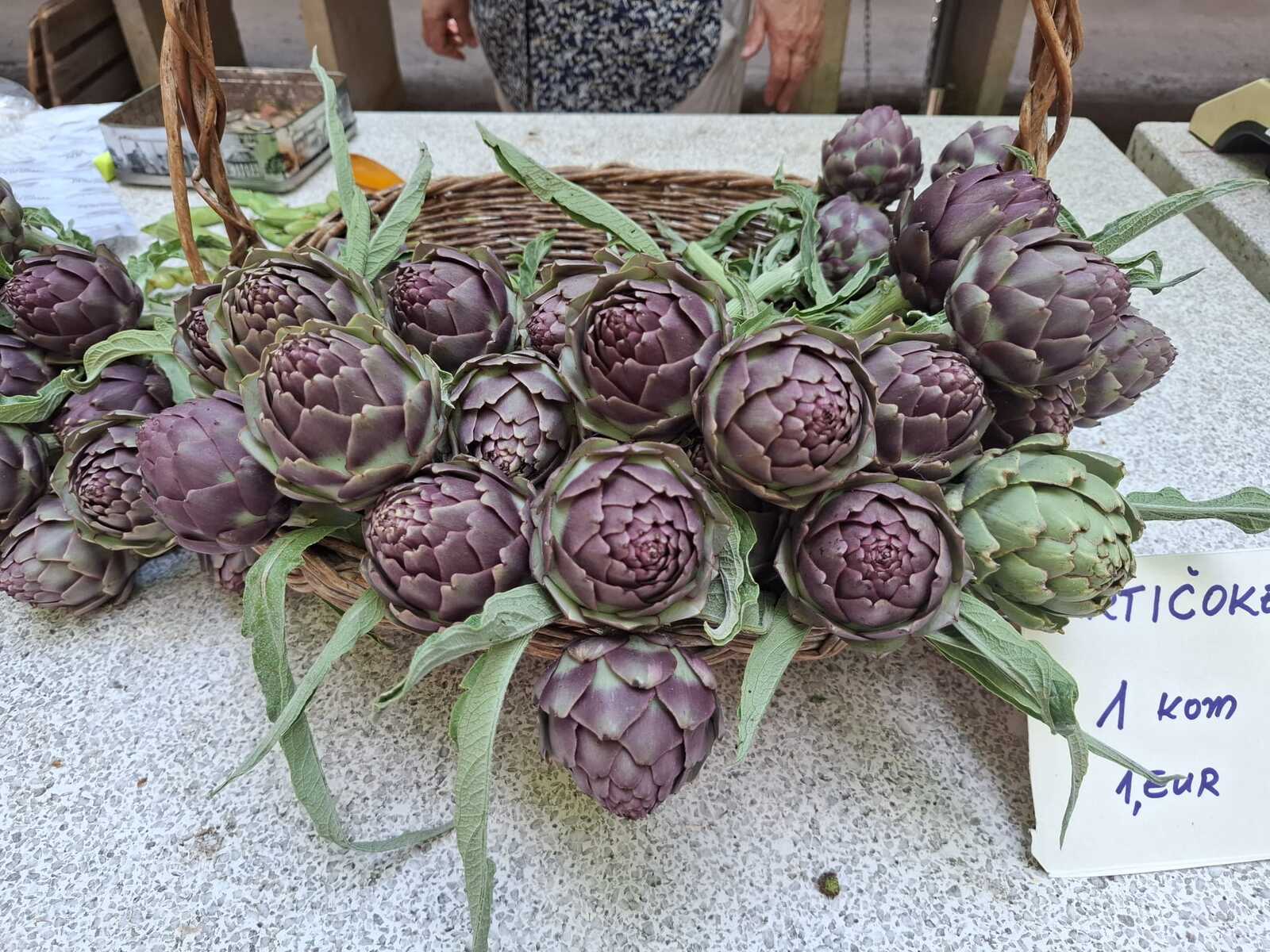 Foto: Mirjana Vermezović Ivanović