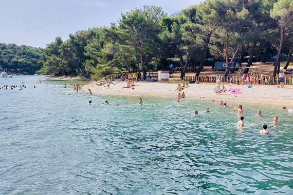 Odlomila se grana bora na Fratarskom otoku. Srećom, nitko nije ozlijeđen