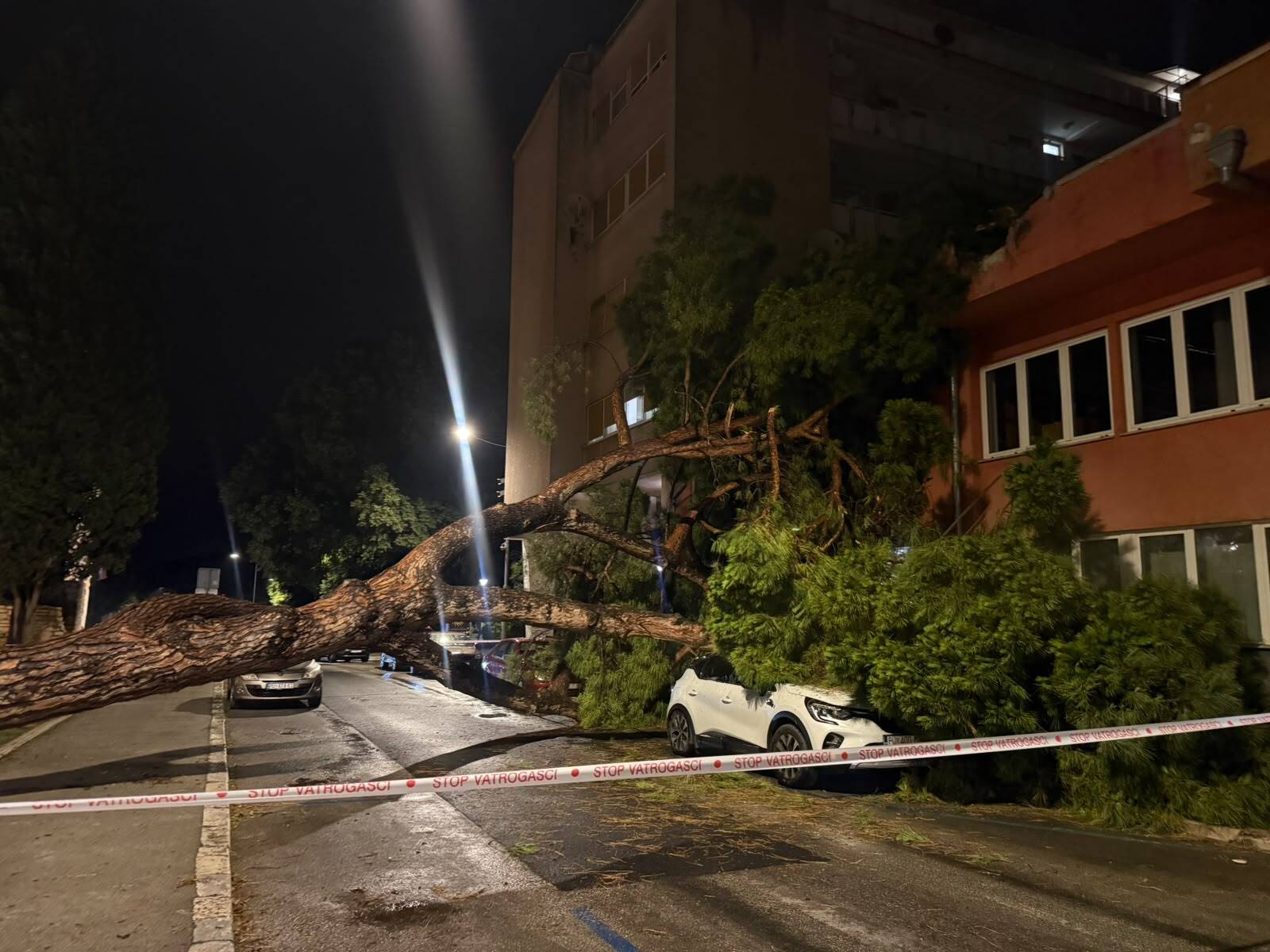 Srušeno stablo kraj Circola (Foto: Istarski.hr)