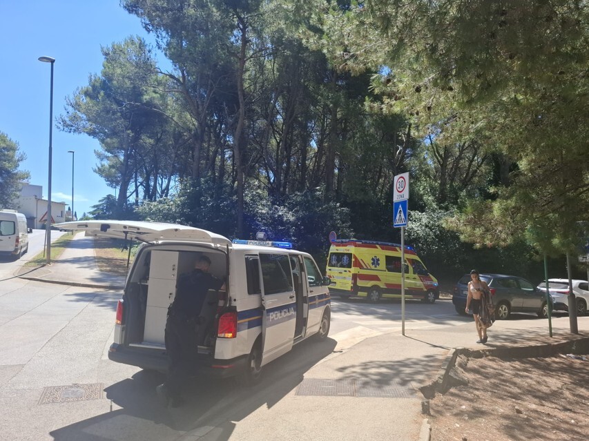 Foto: Mirjana Vermezović Ivanović