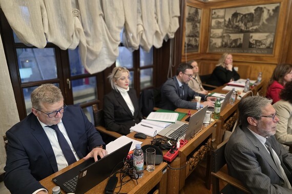 Čija je sada pročelnica Paola Orlić?