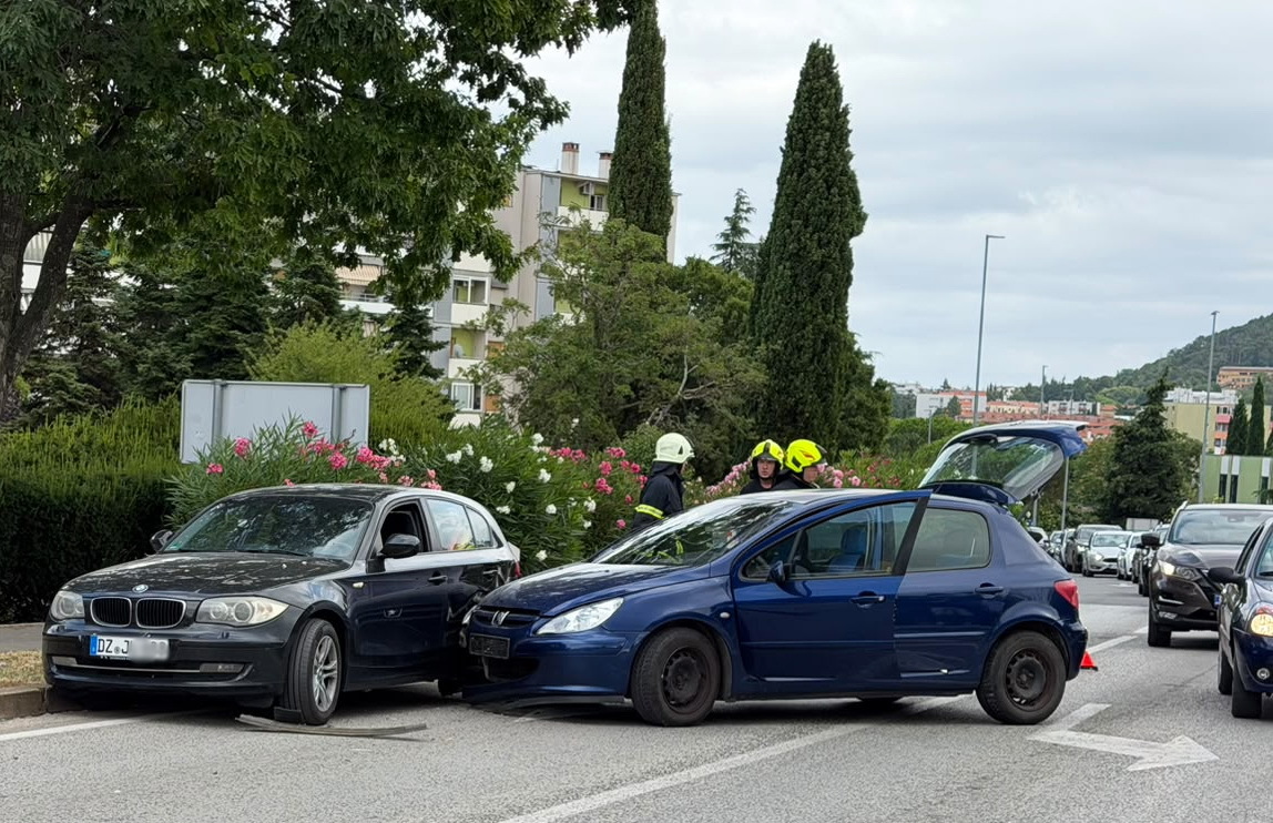 Foto: Nenad Čakić