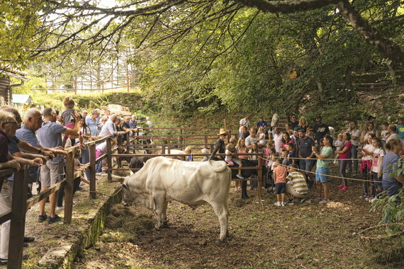 Poznato je kada će se održati najveći tradicionalni sajam Istre i Kvarnera 