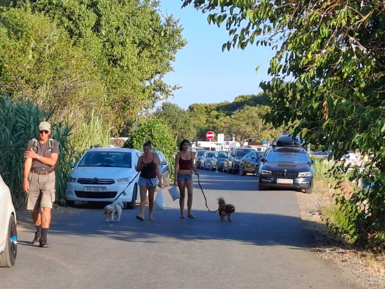 Foto: Mirjana Vermezović Ivanović