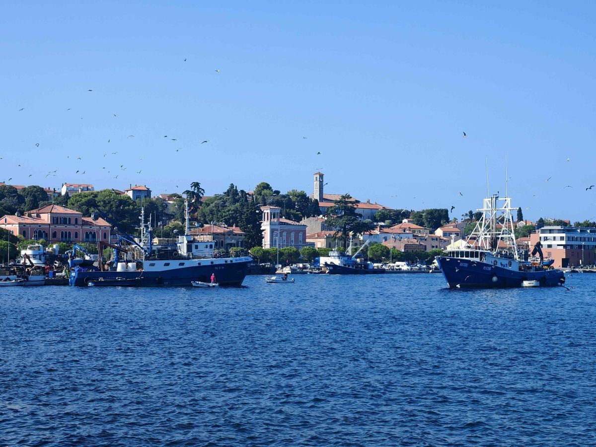 Prometno pred Valdiborom (Foto: Aldo Pokrajac)