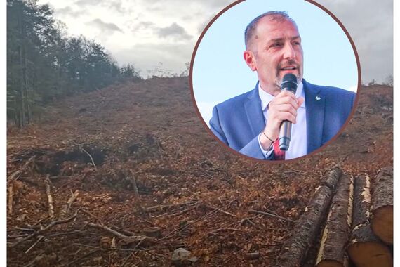 'Na Ćićariji masovno sijeku šumu: trupce voze za Sloveniju, svi upozoravaju, a država ne reagira'. Snimke ostavljaju bez daha