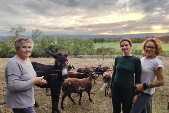 Nona Ana postala najbolja manekenka kuće za odmor: 'Gost sede poli mene i reče: Teško mi je poj iz ovega raja...' 