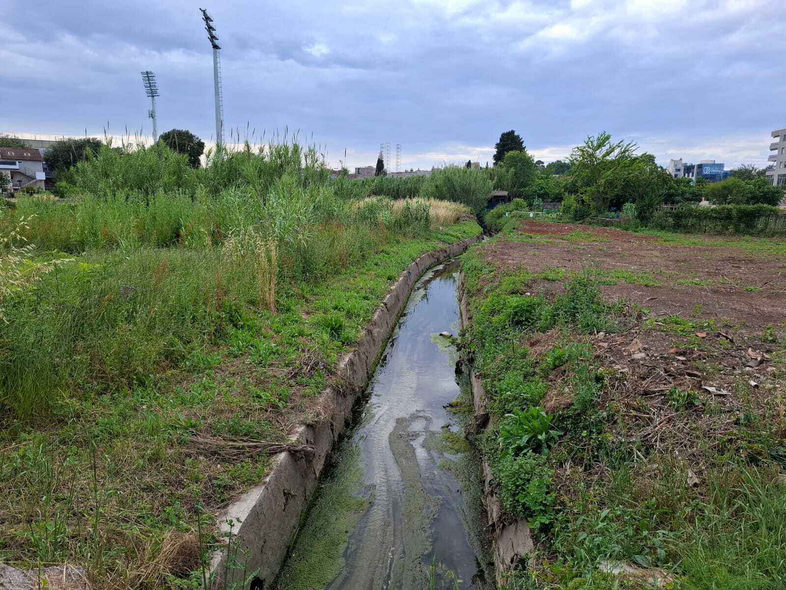 Foto: Mirjana Vermezović Ivanović