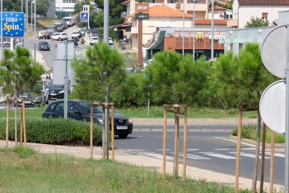 Pula po mjeri ljudi ili betona? O zelenijoj budućnosti grada progovorit će arhitekti, stručnjaci i građani