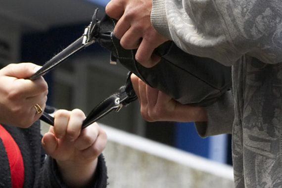 Građanin spriječio lopova u krađi torbice iz automobila u Vrsaru