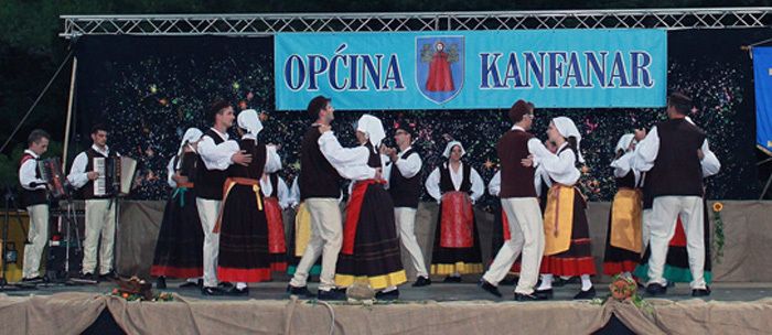 Kulturno umjetničko društvo Dvigrad